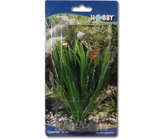 HOBBY Aquaristik 16 cm plastikinis Cyperus augalas