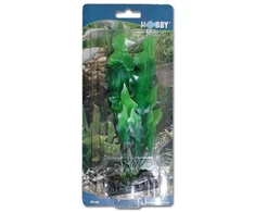 HOBBY Aquaristik 20 cm plastikinis Echinodorus augalas