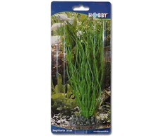 HOBBY Aquaristik 20 cm plastikinis Sagittaria augalas