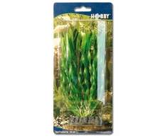 HOBBY Aquaristik 20 cm plastikinis Vallisneria augalas
