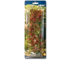 HOBBY Aquaristik 25 cm plastikinis Ludwigia augalas