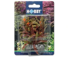 HOBBY Aquaristik 7 cm plastikinis Nesaea augalas