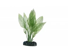 HOBBY Aquaristik Aponogeton 16 cm plastikinis
