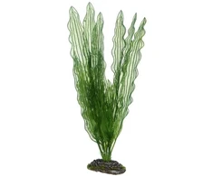 HOBBY Aquaristik Aponogeton 40 cm plastikinis