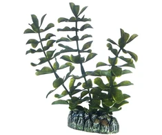 HOBBY Aquaristik Bacopa 13 cm plastikinė