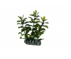 HOBBY Aquaristik Bacopa 7 cm plastikinė