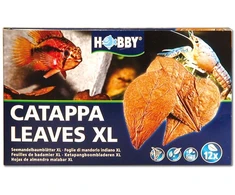 Hobby Aquaristik CATAPPA LAPAI XL 12 vnt.