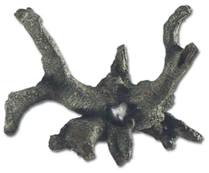 Hobby Aquaristik Dekoratyvinis medis -1- 21x18x14cm likutis