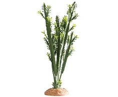 Hobby Aquaristik Euphorbia L 25x10x49 cm HOBBY