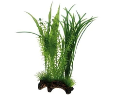 HOBBY Aquaristik Flora šaknis 1 Gr L