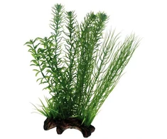 HOBBY Aquaristik Flora šaknis 2 Gr L