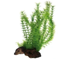 HOBBY Aquaristik Flora šaknis 3 Gr L