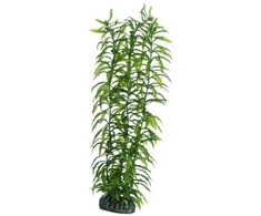HOBBY Aquaristik Heteranthera 34 cm HOBBY