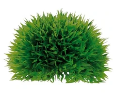 HOBBY Aquaristik HOBBY 18 cm pusiau apvalus augalų kamuolys