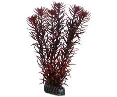Hobby Aquaristik HOBBY Eusteralis 20cm plastikinė augalija