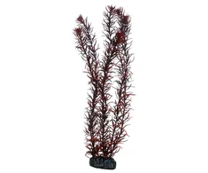 HOBBY Aquaristik HOBBY Eusteralis 39cm plastikinė augalija