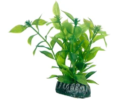 HOBBY Aquaristik Hobby Hygrophila 13 cm plastikinė