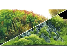 HOBBY Aquaristik HOBBY Planuotas Upelis / Žalias Akmuo 100 x 50 cm