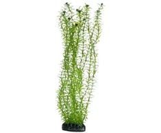 HOBBY Aquaristik Lagarosifonas 34 cm plastikinis