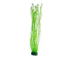 Hobby Aquaristik Lagarosifonas 60 cm plastikinis