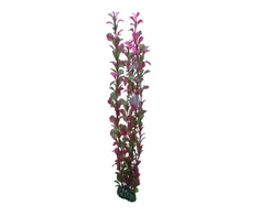 Hobby Aquaristik Ludwigija 60 cm plastikinė
