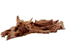 Hobby Aquaristik Mangrovių medis M 25-35 cm HOBBY
