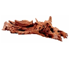 Hobby Aquaristik Mangrovių medis S 15 - 25 cm Hobby