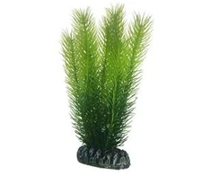 HOBBY Aquaristik Mayaca 16 cm plastikas HOBBY