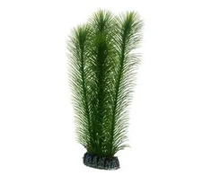 HOBBY Aquaristik Mayaca 25 cm plastikas HOBBY