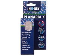 Hobby Aquaristik Planarijos X HOBBY