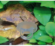 Hobby Aquaristik Siurblys su anga 12 mm