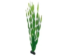 Hobby Aquaristik Vallisnerija 60 cm plastikinė