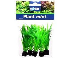 HOBBY Dirbtinė akvariumo augalų dekoracija Tenellus mini