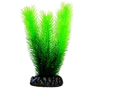 HOBBY Dirbtinė akvariumo augalų dekoracija Mayaca 16 cm