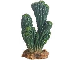 HOBBY kaktusas „Victoria“, 19 cm, terariumui