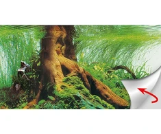 Hobby Terraristik Fotorückwand Pearl River 100 x 50 cm