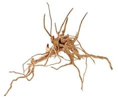 Hobby Terraristik HOBBY Fingerwood S 20-30cm