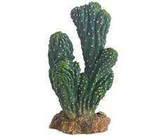 HOBBY Terraristik HOBBY Kaktusas Victoria 19 cm