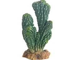 HOBBY Terraristik HOBBY Kaktusas Victoria 22 cm
