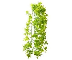 Hobby Terraristik HOBBY Karpinės gebenės 70cm, plastikas