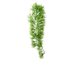 Hobby Terraristik HOBBY Karpinės tropinės 37cm, plastikas