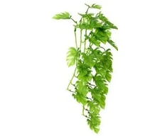 Hobby Terraristik HOBBY Karpinis filodendras 70cm, plastikas