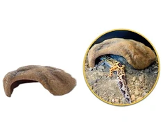 Hobby Terraristik HOBBY Mojave urvas M 22 x 16 x 7 cm
