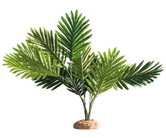 Hobby Terraristik HOBBY Palmė 60 x 40 x 55 cm