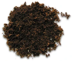 Hobby Terraristik HOBBY Terrano miško substratas 8L