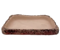 Hobby Terraristik HOBBY Torto Dish L 21,5 x 16 x 2,5 cm