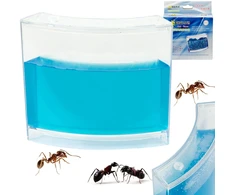 Ikonka Mokomasis gelinis akvariumas skruzdėlėms
