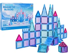 Magnetinių blokelių rinkinys ICE SNOW 100 vnt