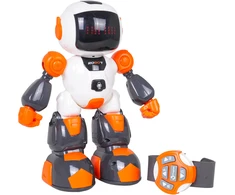 Nuotoliniu būdu valdomas robotas BUDDY