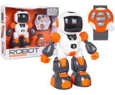 Nuotoliniu būdu valdomas robotas BUDDY